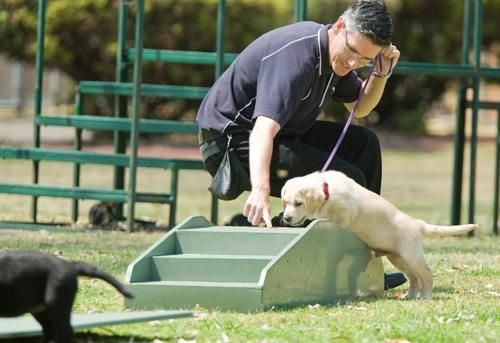 Guide Dogs NSW Day Tour Image -5a0bc8cfc9466